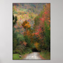 Search for low countries posters Roads