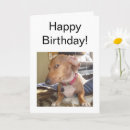 Search for awkward cards For him