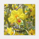 Search for rio kitchen dining Texas