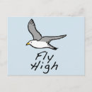 Search for bird flight postcards Wildlife