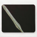 Search for lance mouse mats Spear