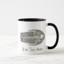 Search for trilobite mugs Fossil