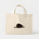 Search for cute rats photography Black