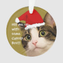 Search for quirky christmas tree decorations Cat