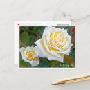 Search for yellow horizontal postcards Rose