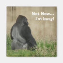 Search for co worker magnets Boss