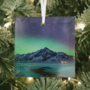 Search for aurora borealis christmas tree decorations Snow