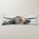 Search for cow cushions Highland cattle