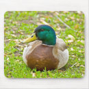 Search for beaked mouse mats Duck