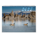 Search for flora calendars Birds