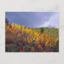 Search for logan postcards Leave