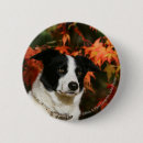Search for autumn pictures badges Bob and pam langrish