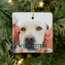 Search for greeting christmas tree decorations Modern