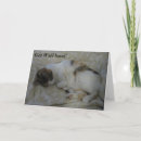 Search for sleeping cards Feline