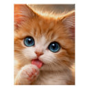 Search for blue eyed cat posters Pet