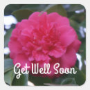 Search for camellia stickers Red flower