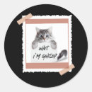 Search for cat meme stickers Lover
