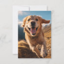 Search for running cards Golden retriever