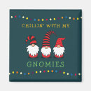 Search for gnome magnets Gnomies