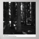 Search for uc berkeley posters Fiat lux