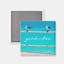 Search for seagull magnets Ocean