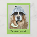 Search for detective cards Investigator