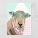 Search for cute sheep postcards Whimsical