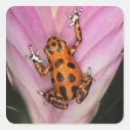 Search for small frog stickers Vertical