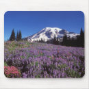 Search for summit electronics Alpine