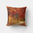 Search for autumn cushions Path