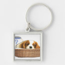 Search for puppy key rings Animals