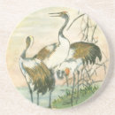 Search for oriental coasters Bird