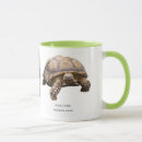 Search for turtle stuff mugs For him