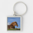 Search for icelandic horses key rings Nature