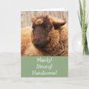 Search for funny sheep postcards Birthday