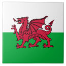 Search for celtic tiles Dragon