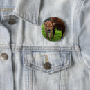 Search for dairy farm badges Cute