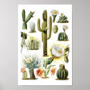 Search for vintage cactus art Antique