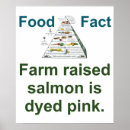 Search for dyed posters Pink