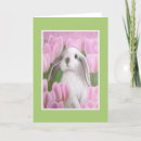 Search for lop postcards Lop eared rabbit