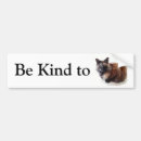 Search for tortoise bumper stickers Animal
