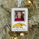 Search for anteater christmas tree decorations University of california irvine