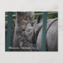 Search for horned postcards Wildlife