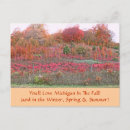 Search for ablaze Nature