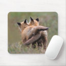 Search for red tail mouse mats Nature