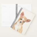 Search for smooth office supplies Cute