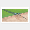 Search for dragonfly stickers Green