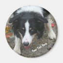 Search for tri colour magnets Cute