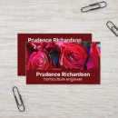 Search for red rose business cards Typography