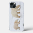 Search for bears ipad cases Canadian